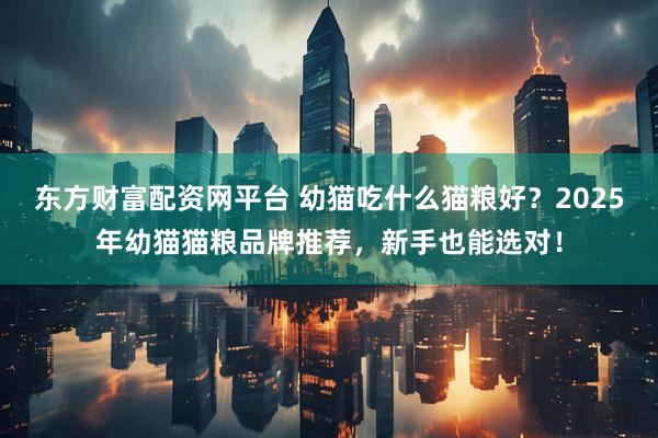 东方财富配资网平台 幼猫吃什么猫粮好？2025年幼猫猫粮品牌推荐，新手也能选对！