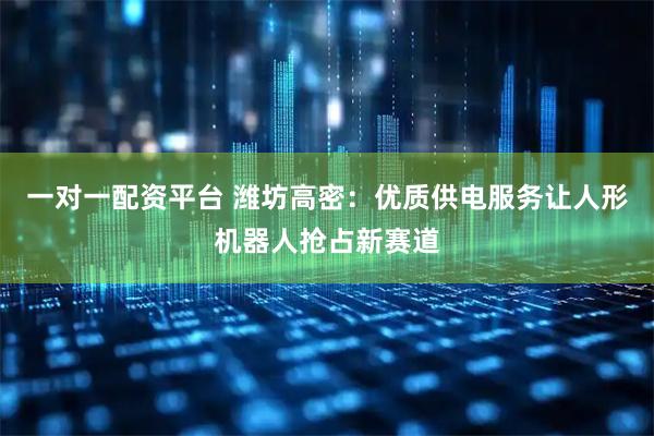 一对一配资平台 潍坊高密：优质供电服务让人形机器人抢占新赛道